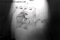 Foto Annunci Eros Mary Ts Trans Francoforte 00491751281117 - 7
