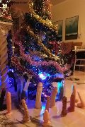 Foto Annunci Eros Mistress Katerin Mistress Modena 3664856160 - 110