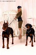 Foto Annunci Eros Mistress Katerin Mistress Modena 3664856160 - 284