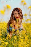 Foto Annunci Eros Monica Kicelly Transescort Rimini 3245833097 - 197