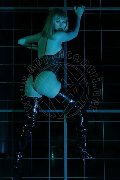 Foto Annunci Eros Nady Transescort Vicenza 3338758341 - 214