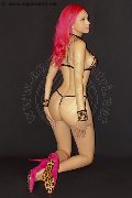 Foto Annunci Eros Nady Transescort Vicenza 3338758341 - 145
