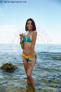 Foto Annunci Eros Nara Trans Marina Di Montemarciano 3491526431 - 52