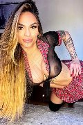 Foto Annunci Eros Nauana Lima Pornostar Transescort Milano 3936529793 - 118