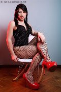 Foto Annunci Eros Niccole Travescort Torino 3271328599 - 62