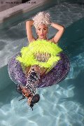 Foto Annunci Eros Nina La Divina Transescort Ibiza 0034617911341 - 82