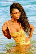 Foto Annunci Eros Paula Xxl Trans Verona 3762961336 - 108
