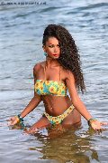 Foto Annunci Eros Paula Xxl Trans Verona 3762961336 - 22