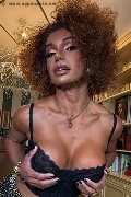 Foto Annunci Eros Riccia Transescort Torino 3663044467 - 3