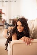 Foto Annunci Eros Robertina Trans Alessandria 3533409345 - 27
