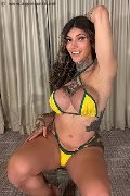 Foto Annunci Eros Sabrina Prezotte Pornostar Transescort Bergamo 3409913678 - 13