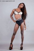 Foto Annunci Eros Safira Snt'z  Trans Alba Adriatica 3278243596 - 47