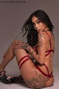 Foto Annunci Eros Sara Luna Transescort Grosseto 3342293953 - 21