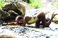 Foto Annunci Eros Sexy Venere Nera Trans Aosta 3283286338 - 9