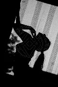 Foto Annunci Eros Sharon Mei Escort Trapani 3920646614 - 33