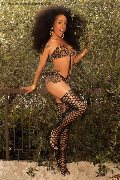 Foto Annunci Eros Tamisca Safada Transescort Verona 3270654407 - 88
