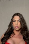 Foto Annunci Eros Ts Sophia Trans Lecco 3391841425 - 7