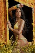 Foto Annunci Eros Vajolet Dior Transescort Ponte San Giovanni 3779997086 - 9