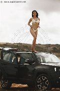 Foto Annunci Eros Vanessa Hilton Trans Modena 3245846577 - 110