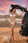 Foto Annunci Eros Vanessa Hilton Trans Modena 3245846577 - 109