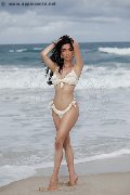 Foto Annunci Eros Vanessa Hilton Transescort Modena 3245846577 - 108