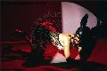 Foto Annunci Eros Vanessa Hilton Transescort Modena 3245846577 - 129