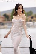 Foto Annunci Eros Vanessa Hilton Transescort Modena 3245846577 - 47