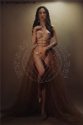 Foto Annunci Eros Vanessa Hilton Transescort Modena 3245846577 - 40