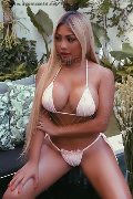 Foto Annunci Eros Vanessa Martinez Transescort Torino 3446131802 - 17