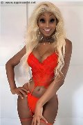 Foto Annunci Eros Virna La Super Dotata Transescort Milano 3494393969 - 2