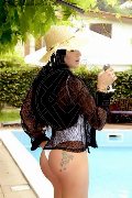 Foto Annunci Eros Vittoria Transescort Imperia 3295478530 - 7