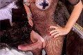 Foto Hot Annunci Eros Ale Cavallona Trans Legnano 3508935739 - 12
