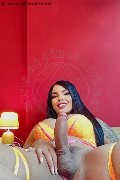 Foto Hot Annunci Eros Luana Castrinni Transescort Milano 3931001131 - 12