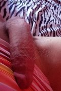 Isernia Trans Escort Alessandra Dior 371 52 12 112 foto selfie 88