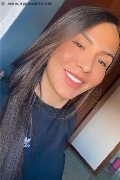 Piove Di Sacco Trans Escort Antonellalima 393 61 58 833 foto selfie 7