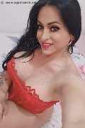 Frosinone Trans Camilla Sexy Bambola 329 70 99 256 foto selfie 8