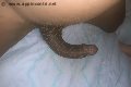 Colonnella Trans Escort Graicy Ohara Pornostar 389 76 96 422 foto selfie 20