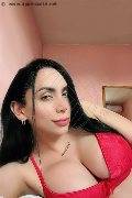 Novara Trans Escort Iris Hot 388 05 53 281 foto selfie 13