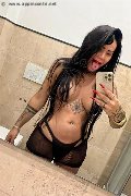 Napoli Trans Escort Jasmine 342 32 03 042 foto selfie 79