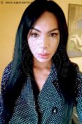 Bari Trans Escort Kelly Melo Pornostar 350 80 96 697 foto selfie 16