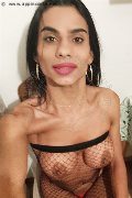 Montemarciano Trans Escort Kelly Tesuda 320 83 08 963 foto selfie 1