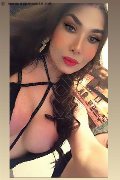 Roma Trans Kettley Lovato 376 13 62 288 foto selfie 52