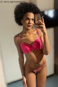 Novara Trans Miele 331 78 08 280 foto selfie 25