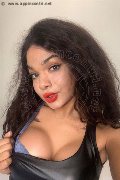 Novara Trans Escort Miele 331 78 08 280 foto selfie 19