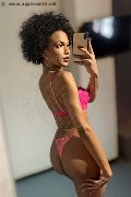 Novara Trans Escort Miele 331 78 08 280 foto selfie 32
