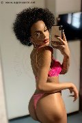 Novara Trans Escort Miele 331 78 08 280 foto selfie 31
