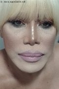 Milano Trans Nicole Vip Venturiny 353 35 38 868 foto selfie 678