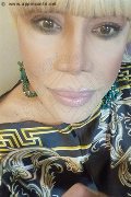 Milano Trans Nicole Vip Venturiny 353 35 38 868 foto selfie 498
