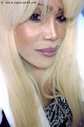 Milano Trans Escort Nicole Vip Venturiny 353 35 38 868 foto selfie 769