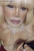Milano Trans Escort Nicole Vip Venturiny 353 35 38 868 foto selfie 589